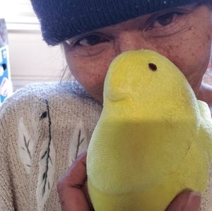 🐣🐥Marshmallow Peep Plush Plushie 🐤 yellow chick